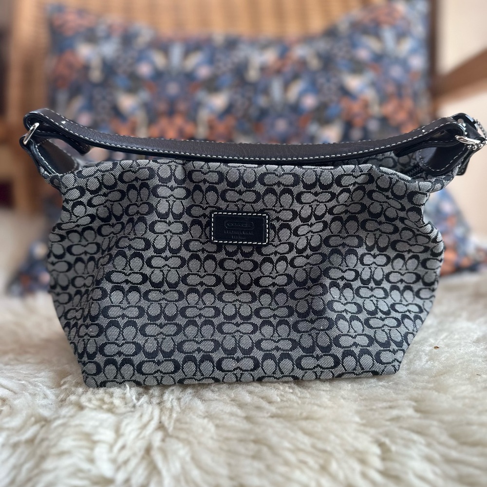 Coach Hand pouch mini in Signature